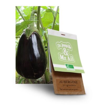 graine aubergine bio - Dr. Jonquille & Mr. Ail