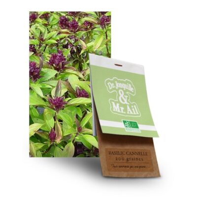 graine basilic cannelle bio - Dr. Jonquille & Mr. Ail