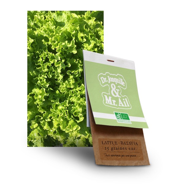 Graines batavia bio graine batavia bio - Dr. Jonquille & Mr. Ail