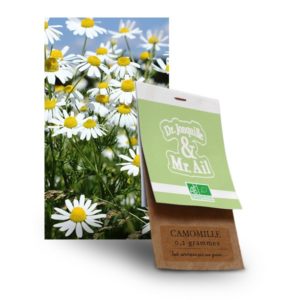graine camomille bio - Dr. Jonquille & Mr. Ail