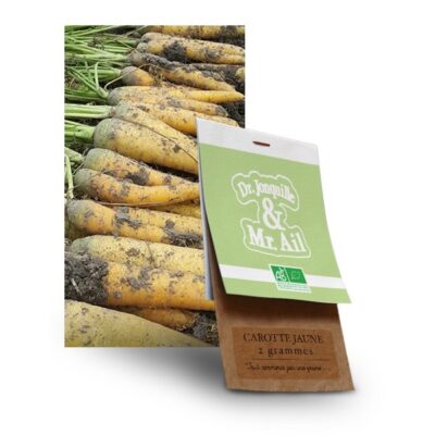 graine carotte jaune bio - Dr. Jonquille & Mr. Ail