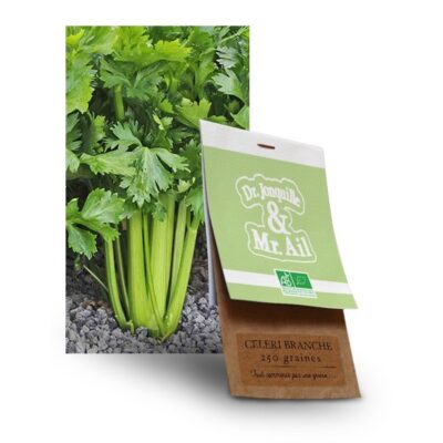 graine céleri branche bio - Dr. Jonquille & Mr. Ail