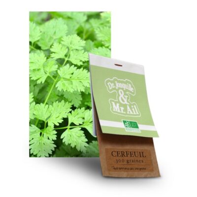 graine cerfeuil bio - Dr. Jonquille & Mr. Ail
