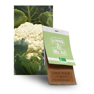 graine chou fleur bio - Dr. Jonquille & Mr. Ail