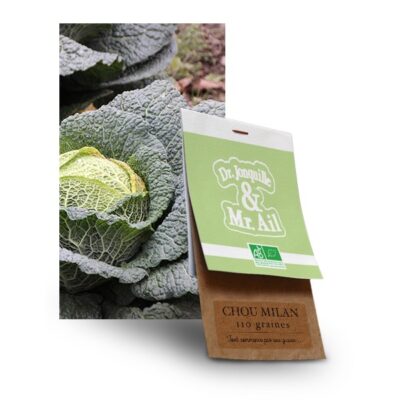 graine chou milan bio - Dr. Jonquille & Mr. Ail