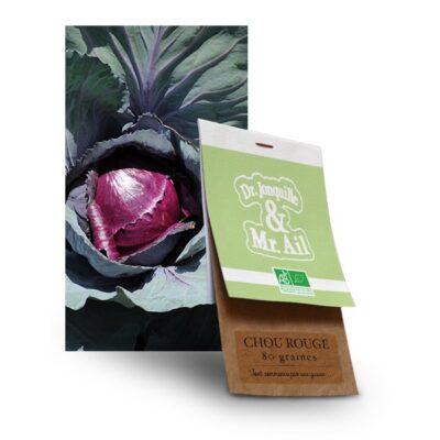 graine chou rouge bio - Dr. Jonquille & Mr. Ail
