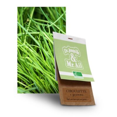 graine ciboulette bio - Dr. Jonquille & Mr. Ail