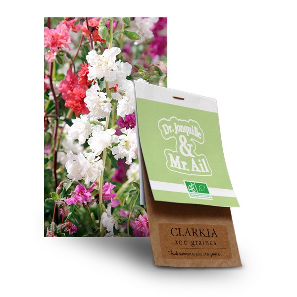 Clarkia-squashed graine clarkia bio - Dr. Jonquille & Mr. Ail