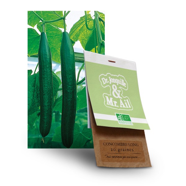 Concombre long-squashed graine concombre long bio - Dr. Jonquille & Mr. Ail