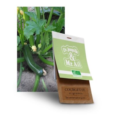 graine courgette bio - Dr. Jonquille & Mr. Ail
