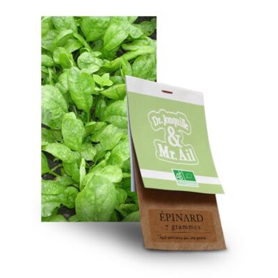 graine épinard bio - Dr. Jonquille & Mr. Ail
