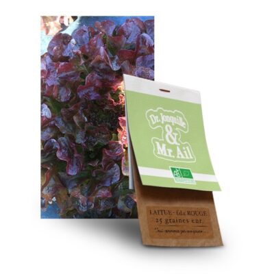 graine feuille de chêne rouge bio - Dr. Jonquille & Mr. Ail