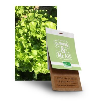 Graine laitue feuille de chêne verte bio - Dr. Jonquille & Mr. Ail