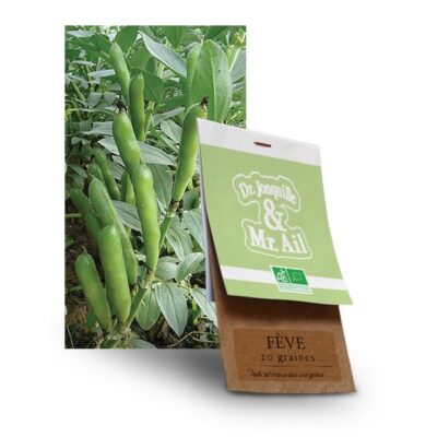 graine fève bio - Dr. Jonquille & Mr. Ail