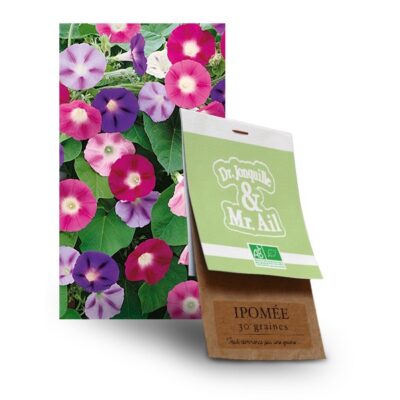 graine ipomée bio - Dr. Jonquille & Mr. Ail