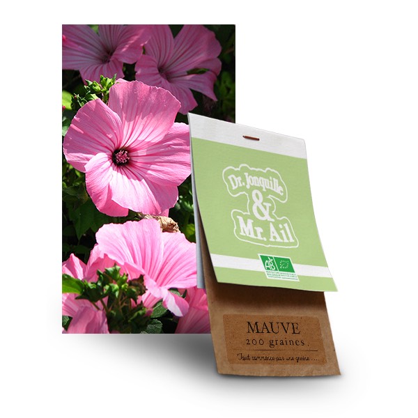 Mauve bio graine de mauve bio - Dr. Jonquille & Mr. Ail