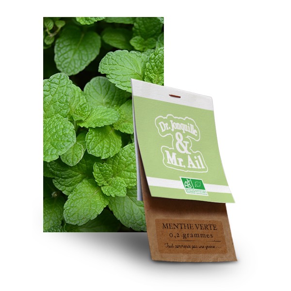 Menthe verte bio graine de menthe verte bio - Dr. Jonquille & Mr. Ail