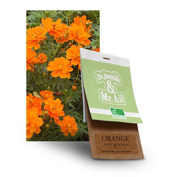 Fleur Orange bio graine fleur orange bio - Dr. Jonquille & Mr. Ail