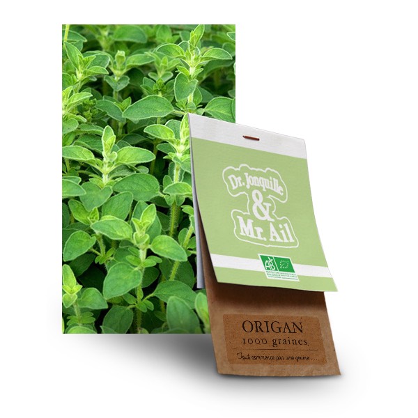 Origan bio graine origan bio - Dr. Jonquille & Mr. Ail
