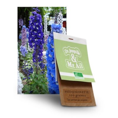 graine de pied d'alouette bio - Dr. Jonquille & Mr. Ail