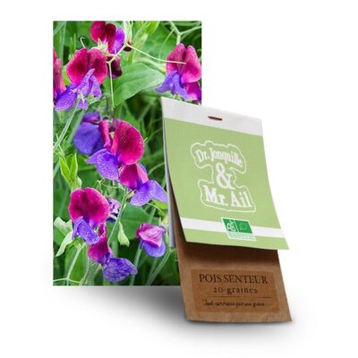 graine de pois senteur bio - Dr. Jonquille & Mr. Ail