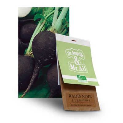 Graine de radis noir bio - Dr. Jonquille & Mr. Ail