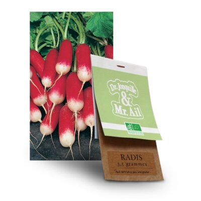 Graine de radis bio - Dr. Jonquille & Mr. Ail