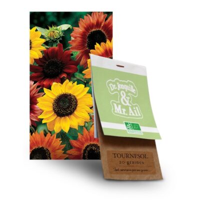 Graine de tournesol bio - Dr. Jonquille & Mr. Ail