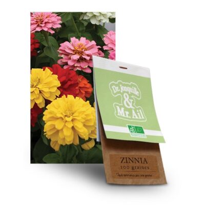 Graines de Zinnia Bio - Dr. Jonquille & Mr. Ail
