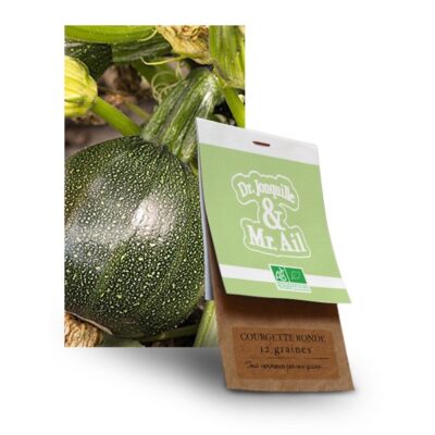 graine courgette ronde bio - Dr. Jonquille & Mr. Ail