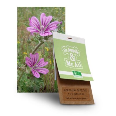 graine grande mauve bio - Dr. Jonquille & Mr. Ail