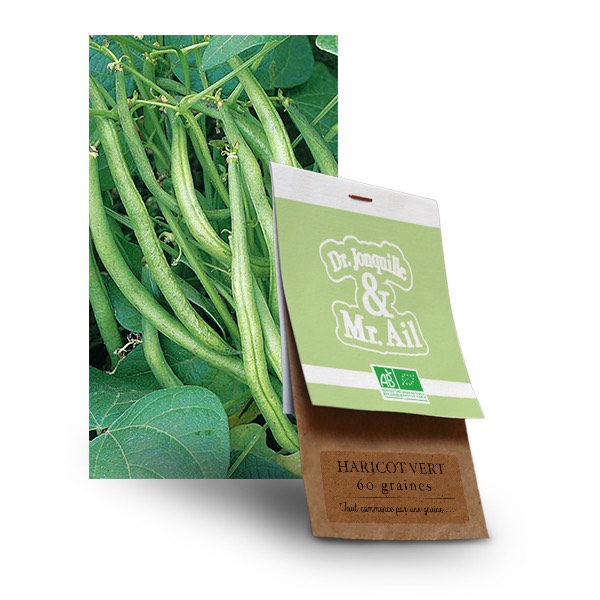 graine haricot vert bio - Dr. Jonquille & Mr. Ail