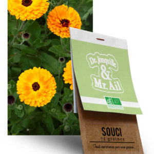 Souci bio graine de fleur souci bio - Dr. Jonquille & Mr. Ail