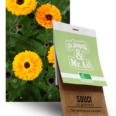 graine de fleur souci bio - Dr. Jonquille & Mr. Ail