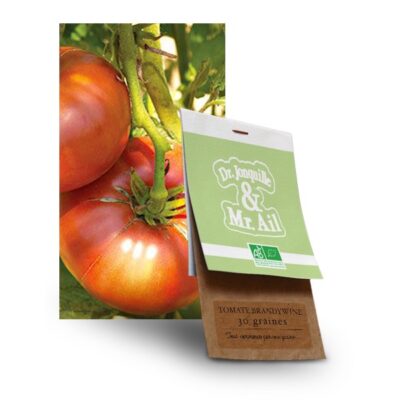 Graines Tomate Brandywine Bio - Dr. Jonquille & Mr. Ail