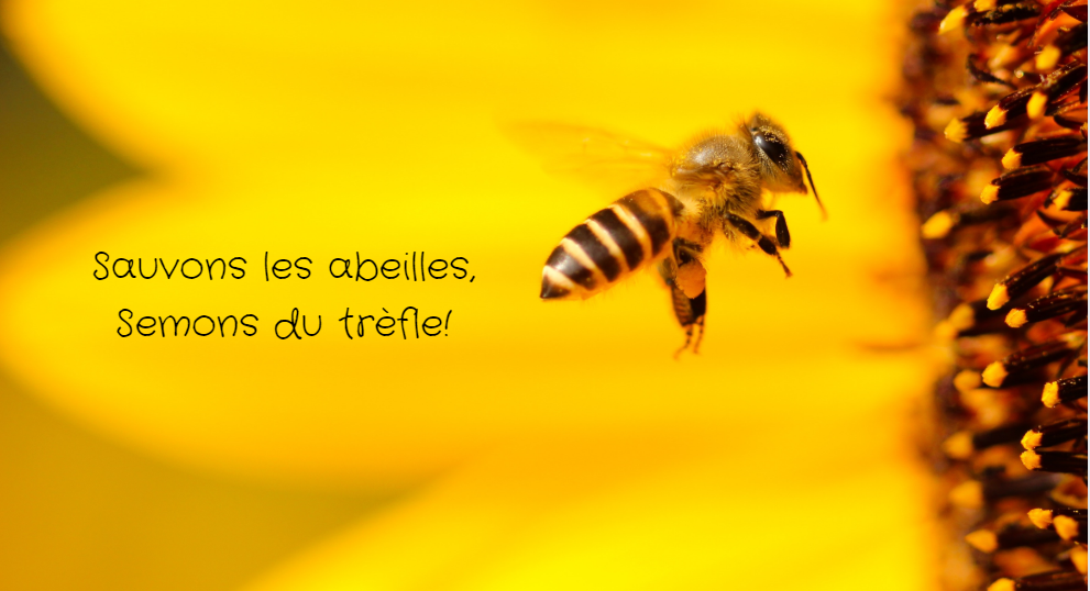 Sauver les abeilles - Dr. Jonquille & Mr. Ail