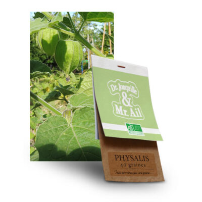 graine de physalis bio
