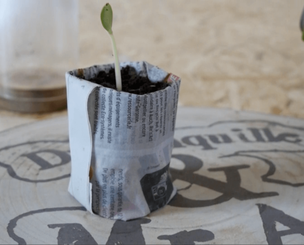 Tutoriel Dr. Jonquille & Mr. Ail - vidéo de fabrication de pots en papier journal