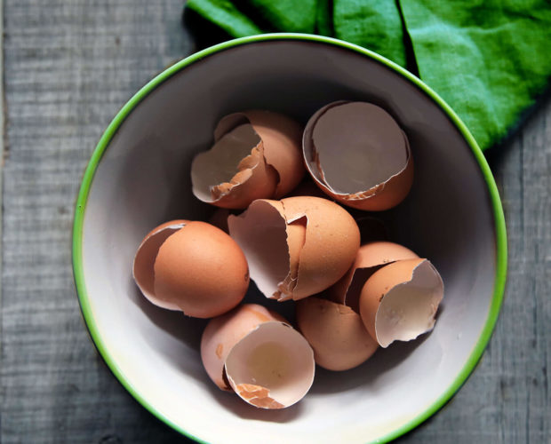 Comment les coquilles d'oeuf peuvent révolutionner vos pratiques de jardinage