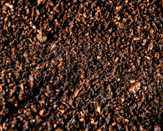 Le marc de café au potager. L'ingrédient idéal