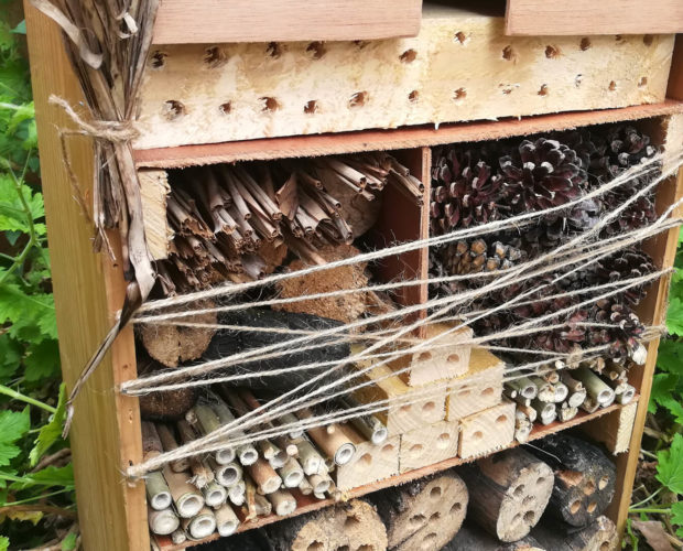 Pourquoi et comment fabriquer un Hôtel à insectes?