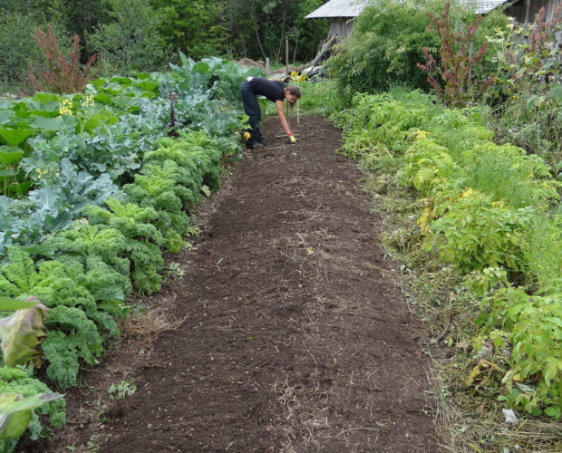 Que semer au mois d'août