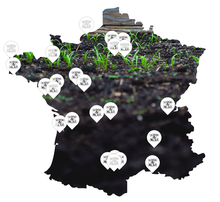 Carte ambassadeurs ambassadrices Dr. Jonquille & Mr. Ail ambassadeurs ambassadrices Dr. Jonquille & Mr. Ail