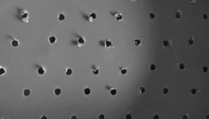 Voici les trous à réaliser pour créer un lombricomposteur