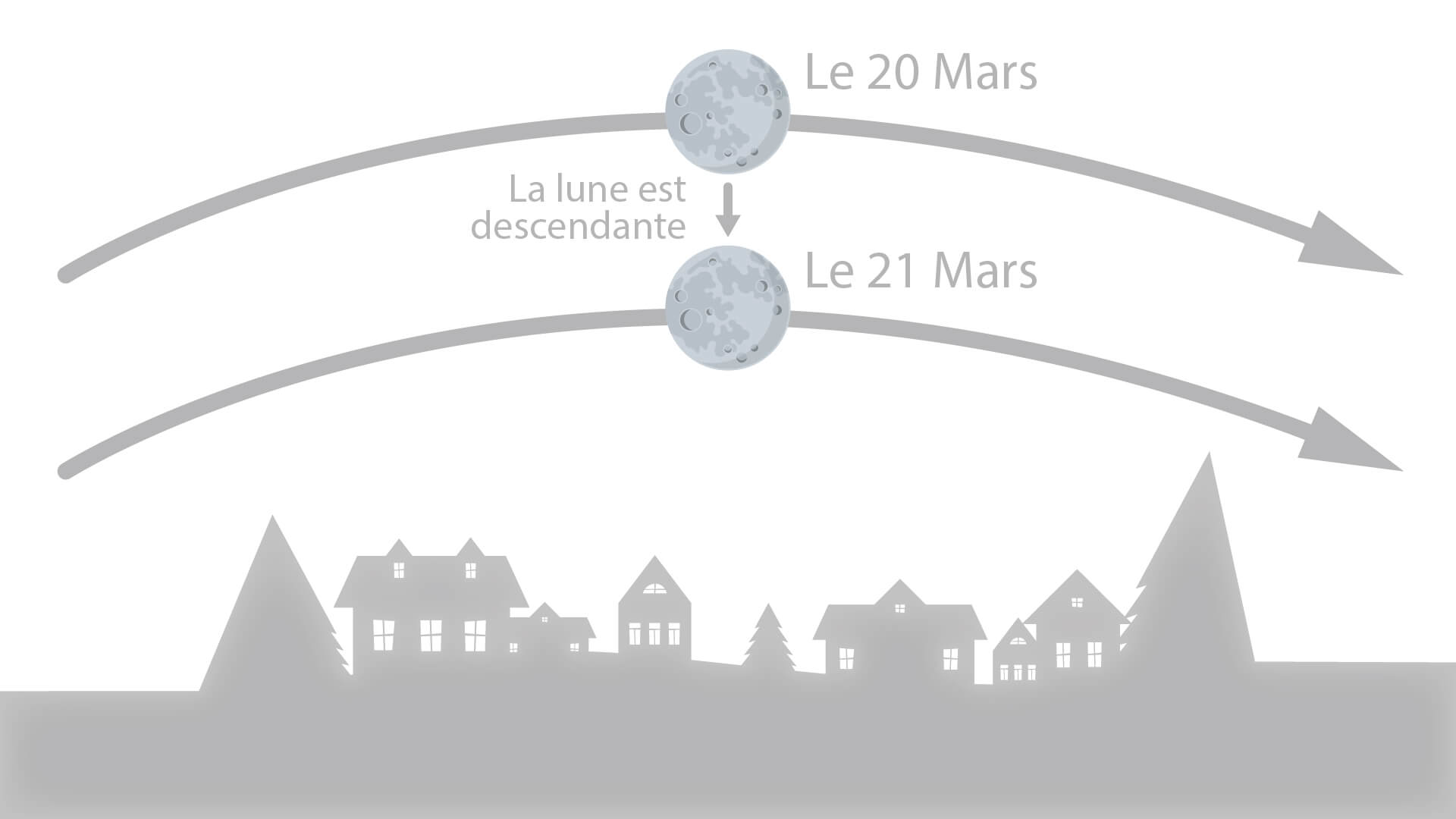 Jardiner-avec-la-lune_Lune-descendante-montante_DJMA Jardiner avec la Lune - Lune Montant et Descendante - Blog DJMA