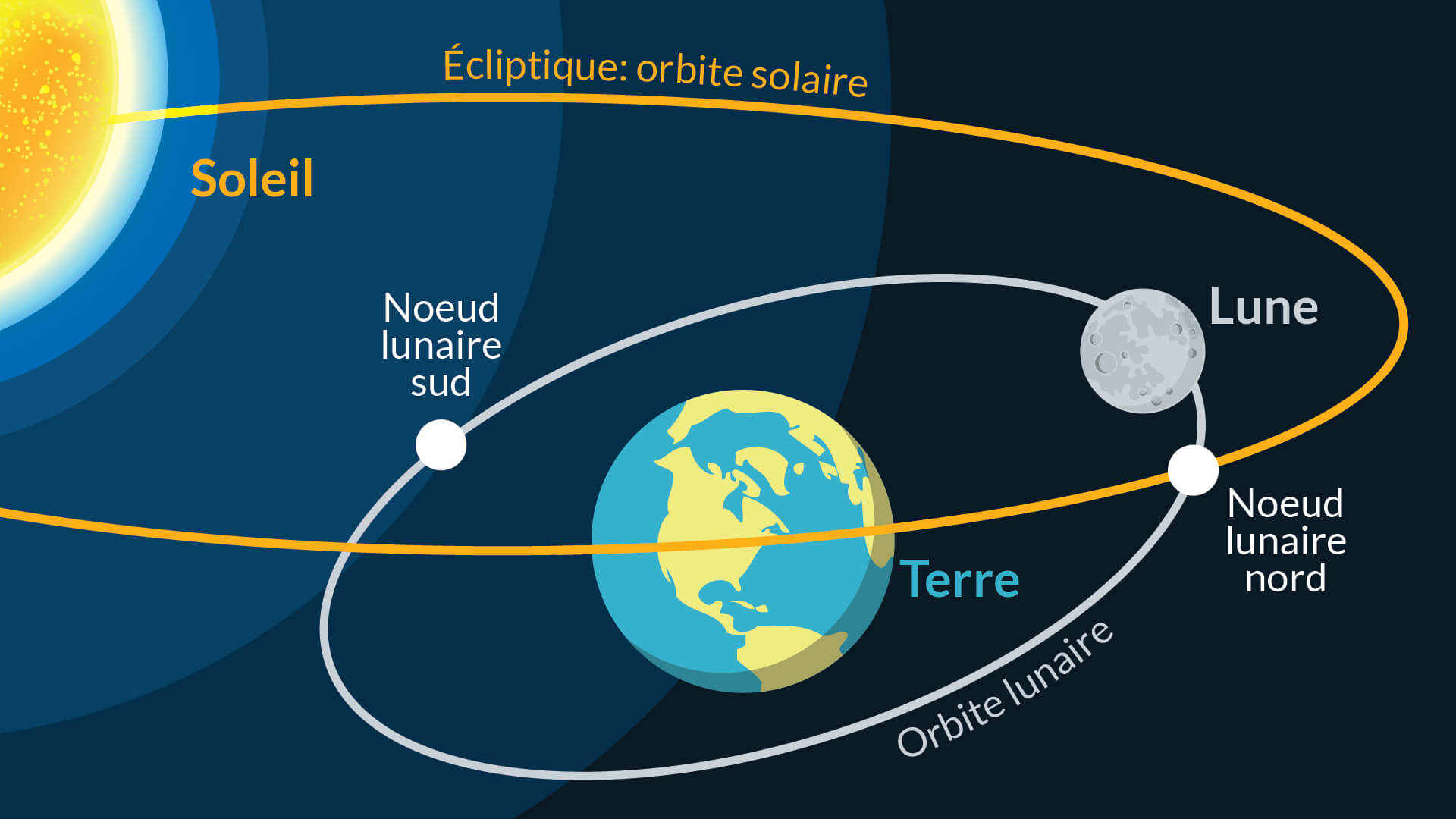 Jardiner-avec-la-lune_Noeud lunaire_DJMA Jardiner avec la Lune - Noeud lunaire - Blog DJMA