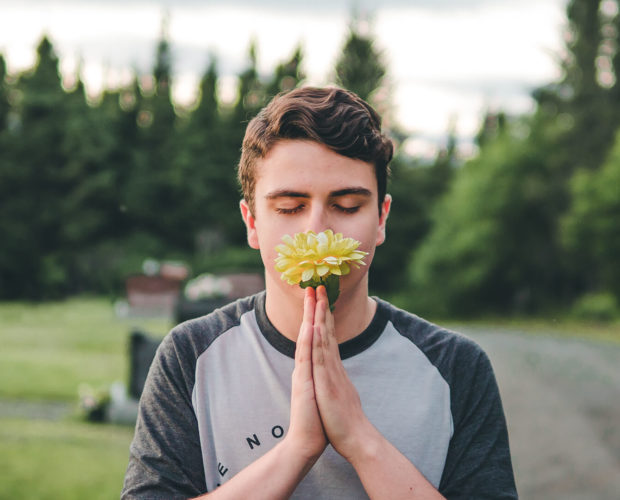 Les plantes et leurs bienfaits : la jardinothérapie