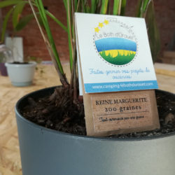 Sachets Graines Personnalisés - Entreprise - Dr. Jonquille & Mr. Ail