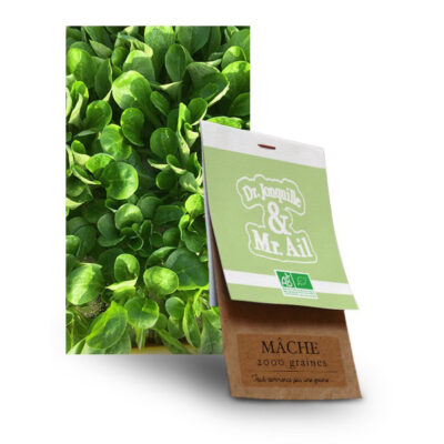 Graine mâche bio - Dr. Jonquille & Mr. Ail