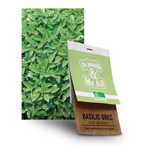 Graine Basilic Grec BIO